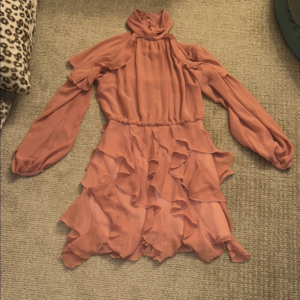 Zara Long Sleeve Ruffled Dress in Dusty Pink